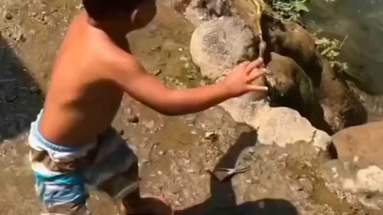 Funny videos | baby funny videos | fun videos | baby fun videos