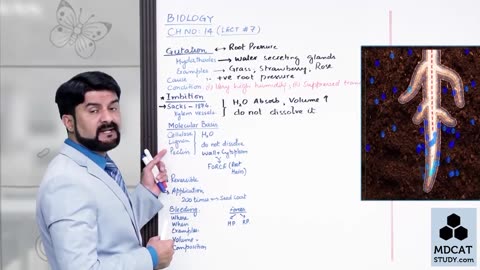 LEC#7 GUTATION, IMBIBITION AND BLEEDING