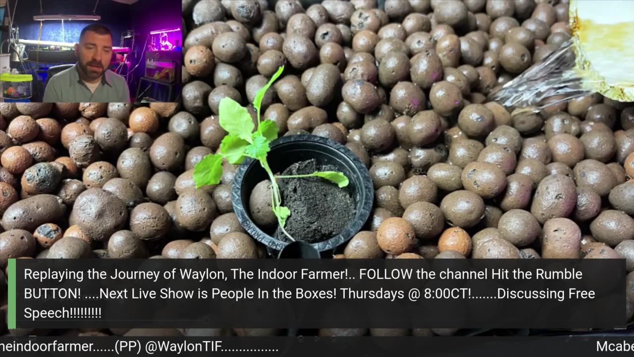 Mcabee's Live Market: Presented by Waylon, The Indoor Farmer. Veteran Popularizing Sustainability