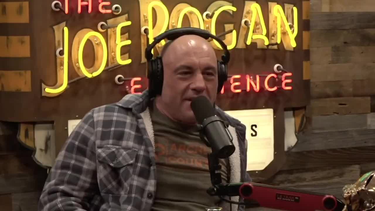 Joe Rogan laughs at leftists losing their minds on Twitter.