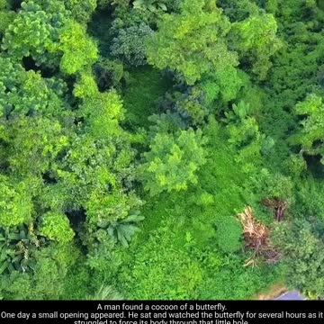 We are going to make it KINGS!!!