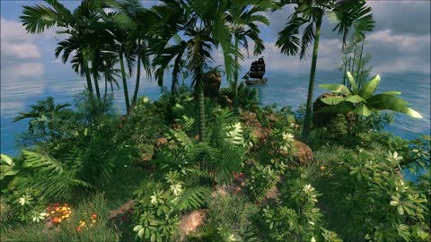 #Island # Island video # Beauty of nature#