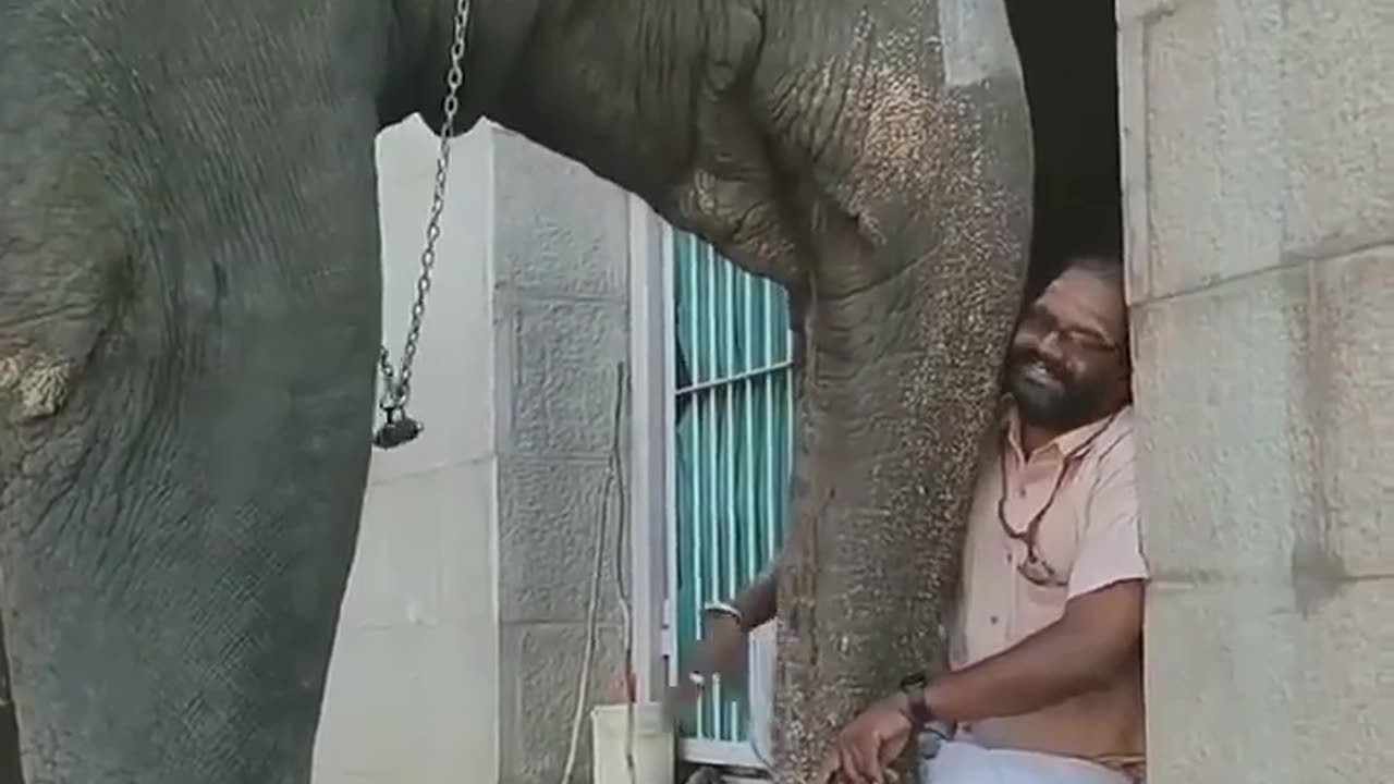 Mahawat sharing his thoughts with Elephant