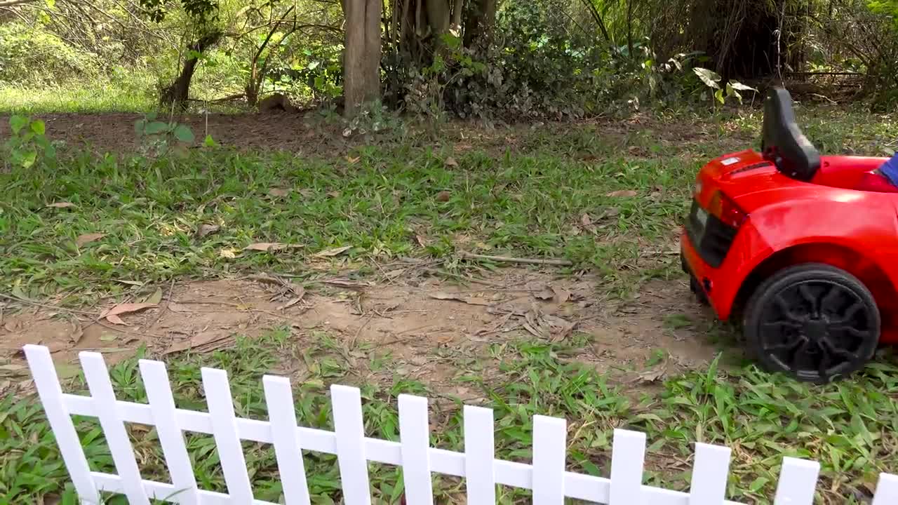 Baby monkey goes to laundry and harvest fruit in the farm and eat with puppy