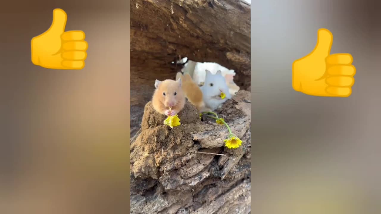 animals that eat pretty flowers