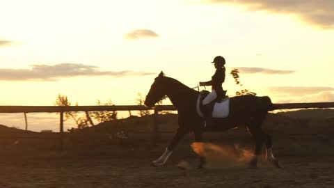 Silhouette of a girl riding a horse at sunset