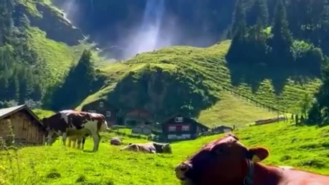 mountains and rivers