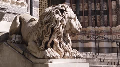 Lion Statue Europe City Genoa Church Sculpture
