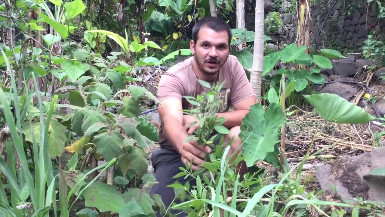 Off the Grid Zero Waste Profitable Permaculture Farm by Robin Greenfield