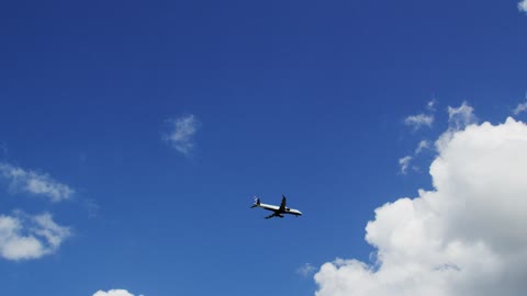 Airplane Soar Through Sky