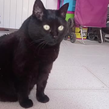 Wally y Lili ❤️❤️❤️