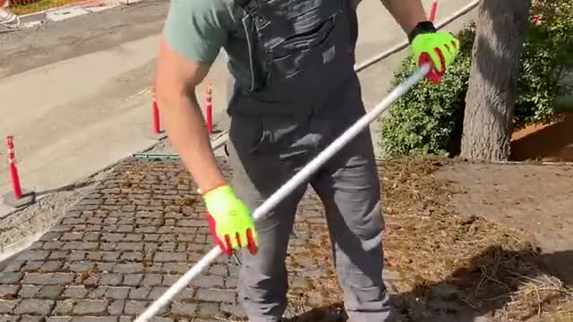 Removing Moss From Crevices Of A Roof _ Deep Cleaned _ Insider