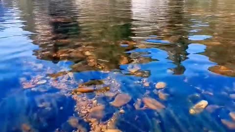 Clear rivers, beautiful mountains