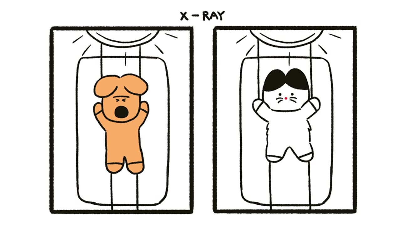 Difference between cats and dogs but animation