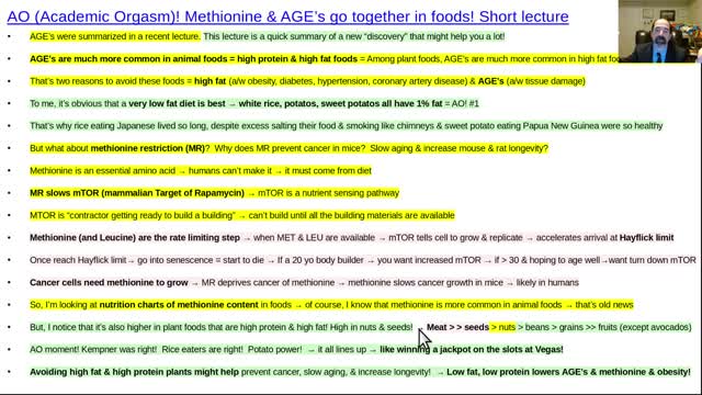 Methionine restriction, short lecture