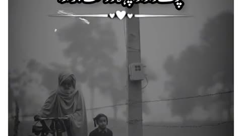 Love your grandfather