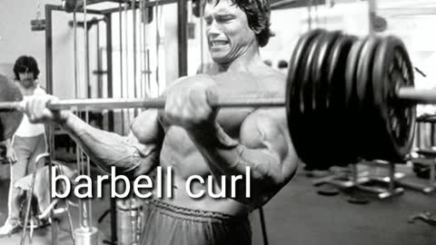 Arnold bicep workouts