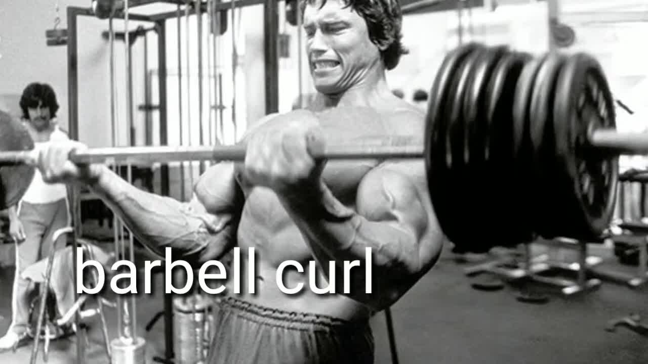 Arnold bicep workouts