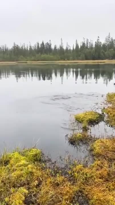 Just guys being dudes