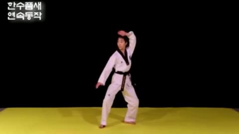 Taekwondo All 9 Black Belt Forms