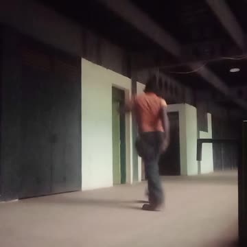 🐈😺 catwalks & 🐶🐕 dogwalks