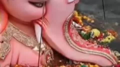 Ganpati Visarjan