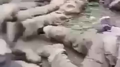 Ukraine Soldiers Surrender