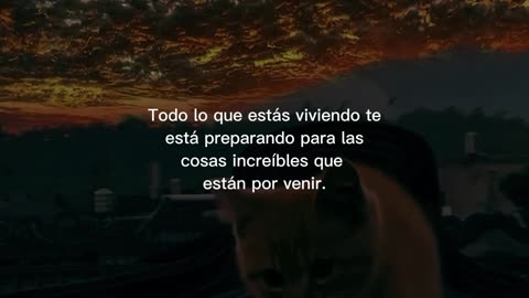 Frases motivación 🤍