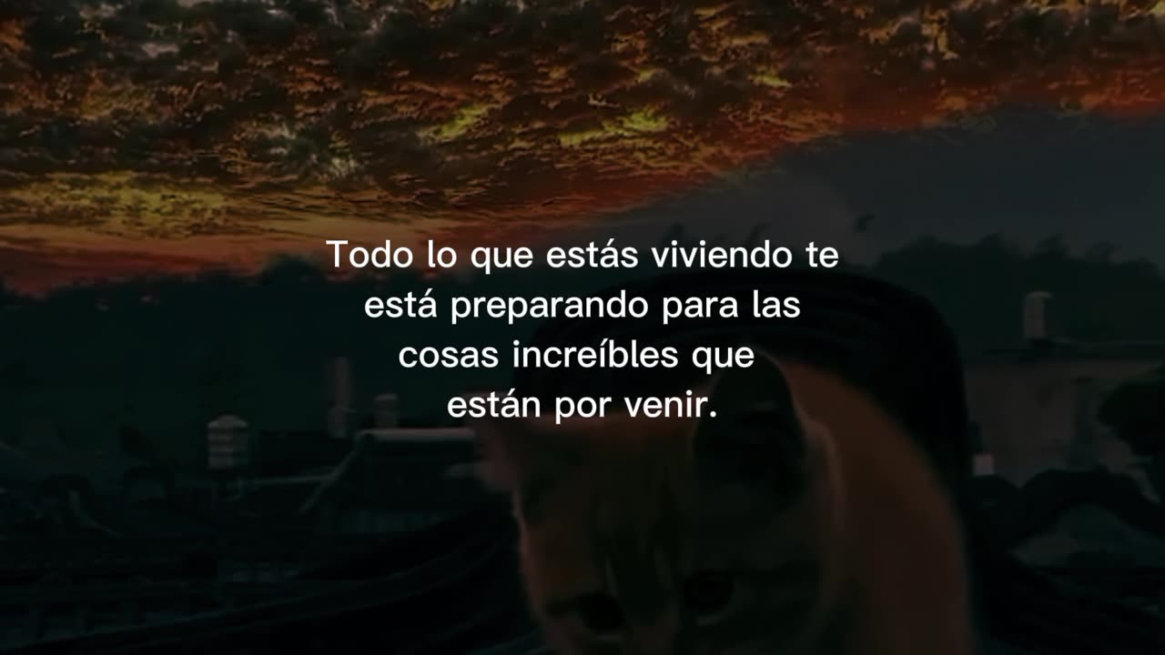 Frases motivación 🤍