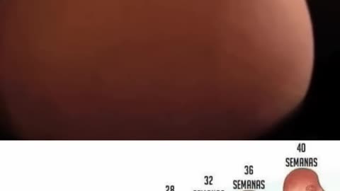 how Baby Kicking In Mother Womb?