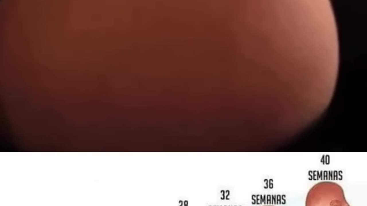 how Baby Kicking In Mother Womb?