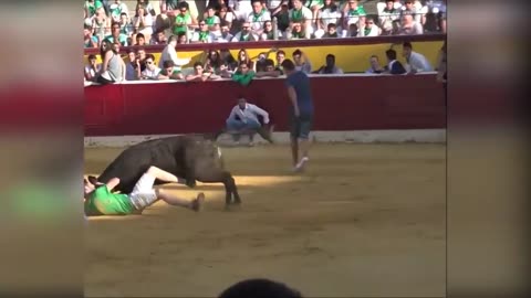 Angry bull attack funny compilation 😂