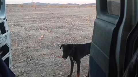 Ehrenberg-Cibola Rd. Arizona BLM campsite review