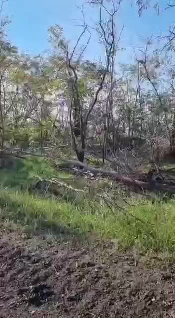 Destroyed caterpillar armored personnel carrier YPR-765