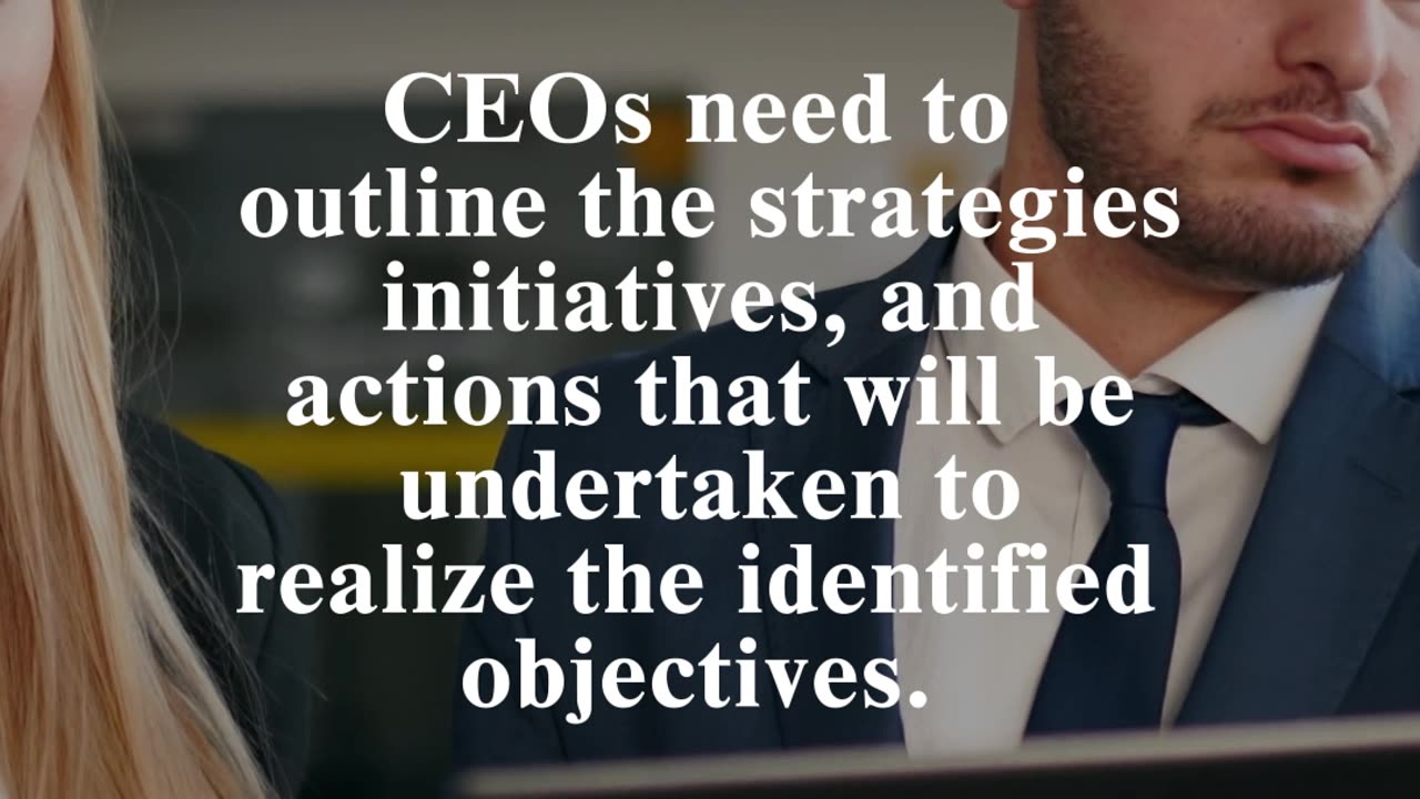 CEO Essential Questions: How do you plan to achieve these goals?