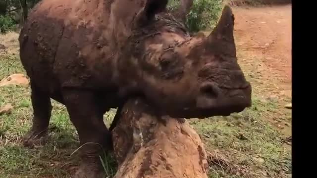 When you have to scratch that itch!