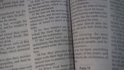 660. Where These Evil Beasts Come From