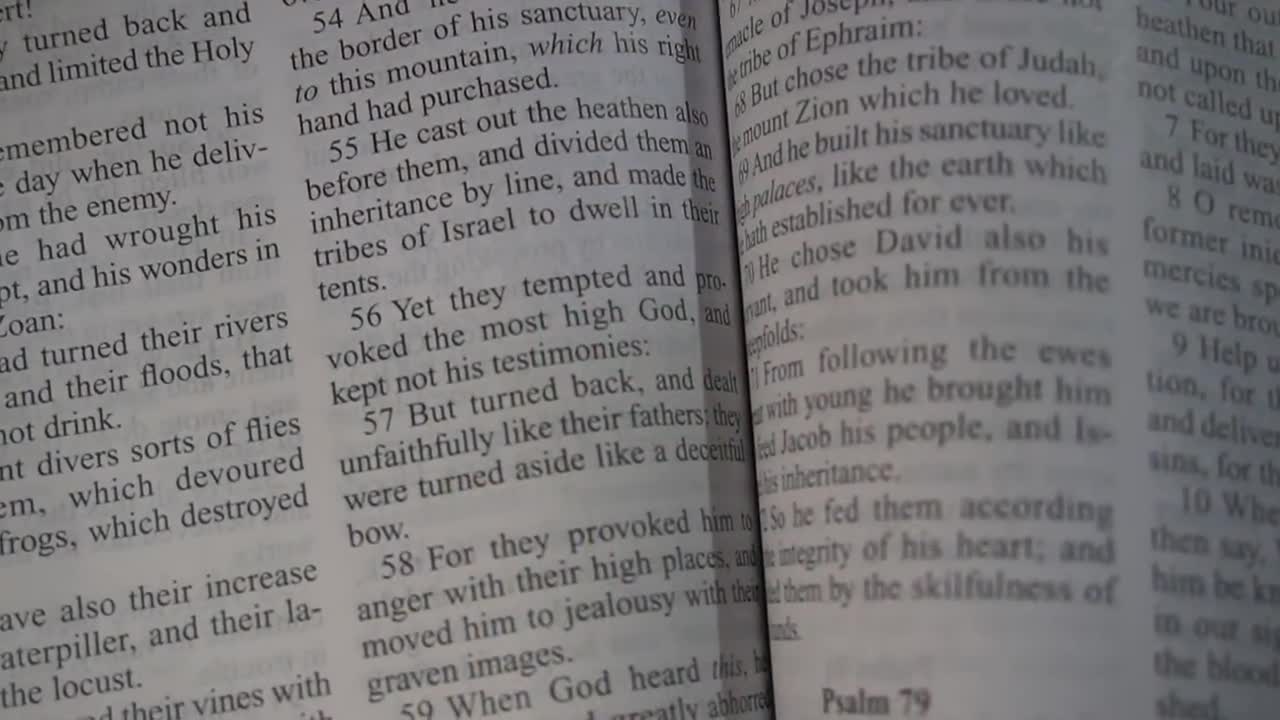 660. Where These Evil Beasts Come From