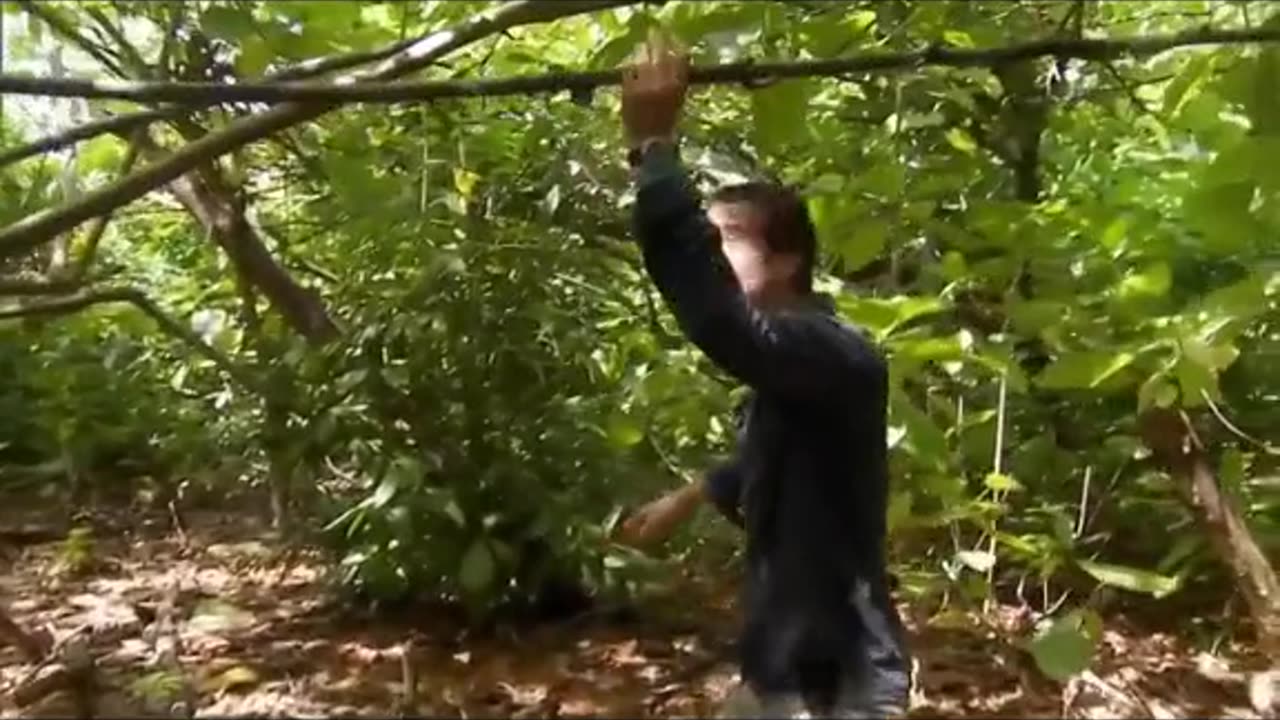 Man vs wild 2