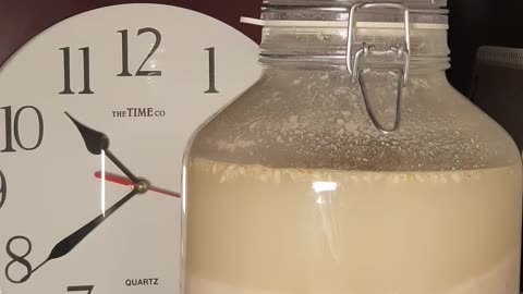 Makgeolli yeast fermentation 10 days 90 times faster. 막걸리 만들기 10일. 술이 익어가는 시간 효모 여행 90배속