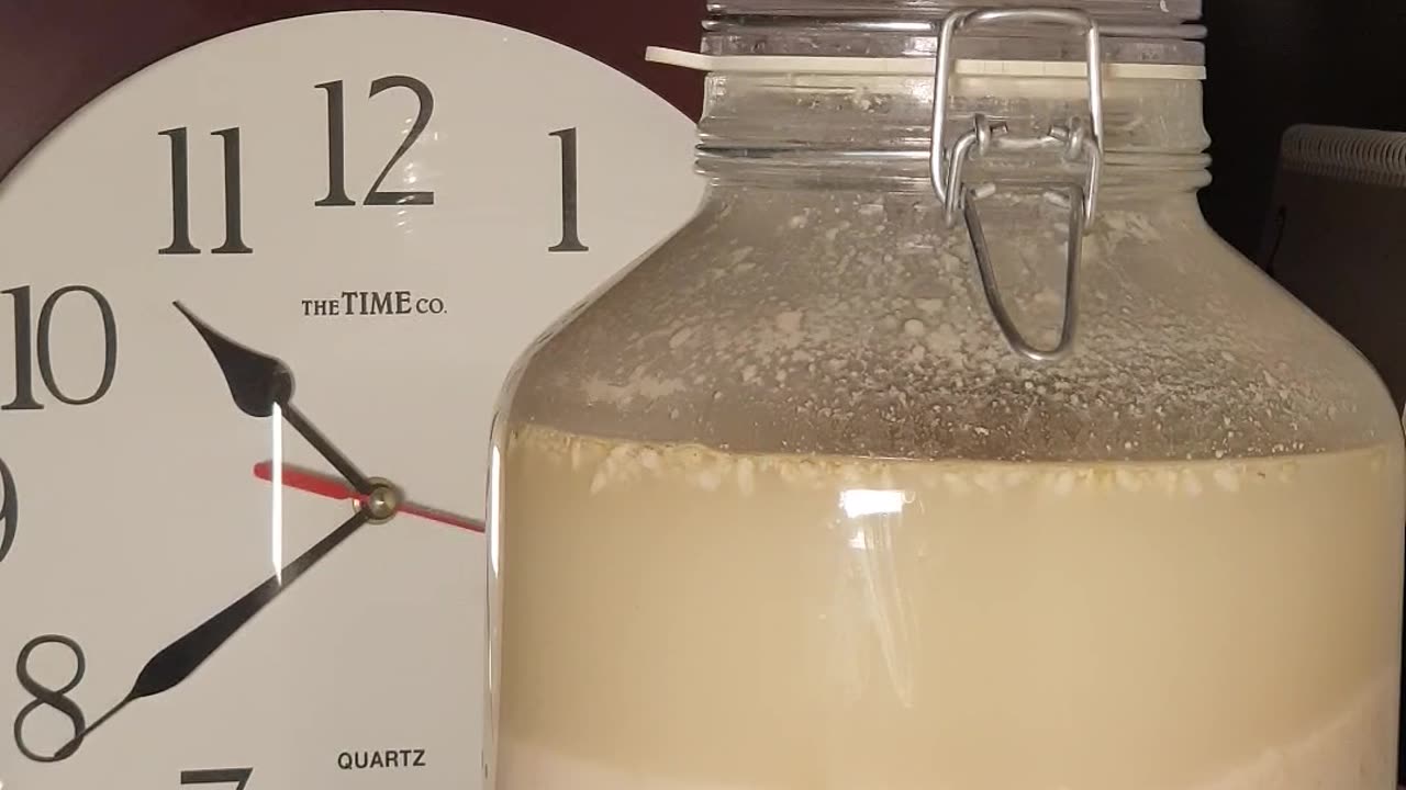 Makgeolli yeast fermentation 10 days 90 times faster. 막걸리 만들기 10일. 술이 익어가는 시간 효모 여행 90배속