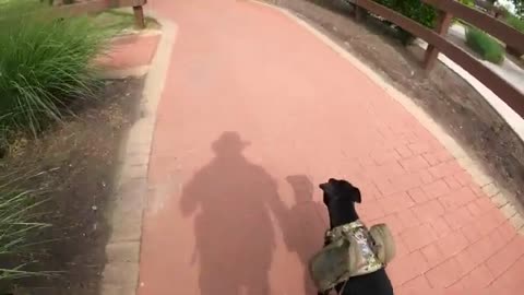 Comfortably Ruck And Hike With Your Dog Using