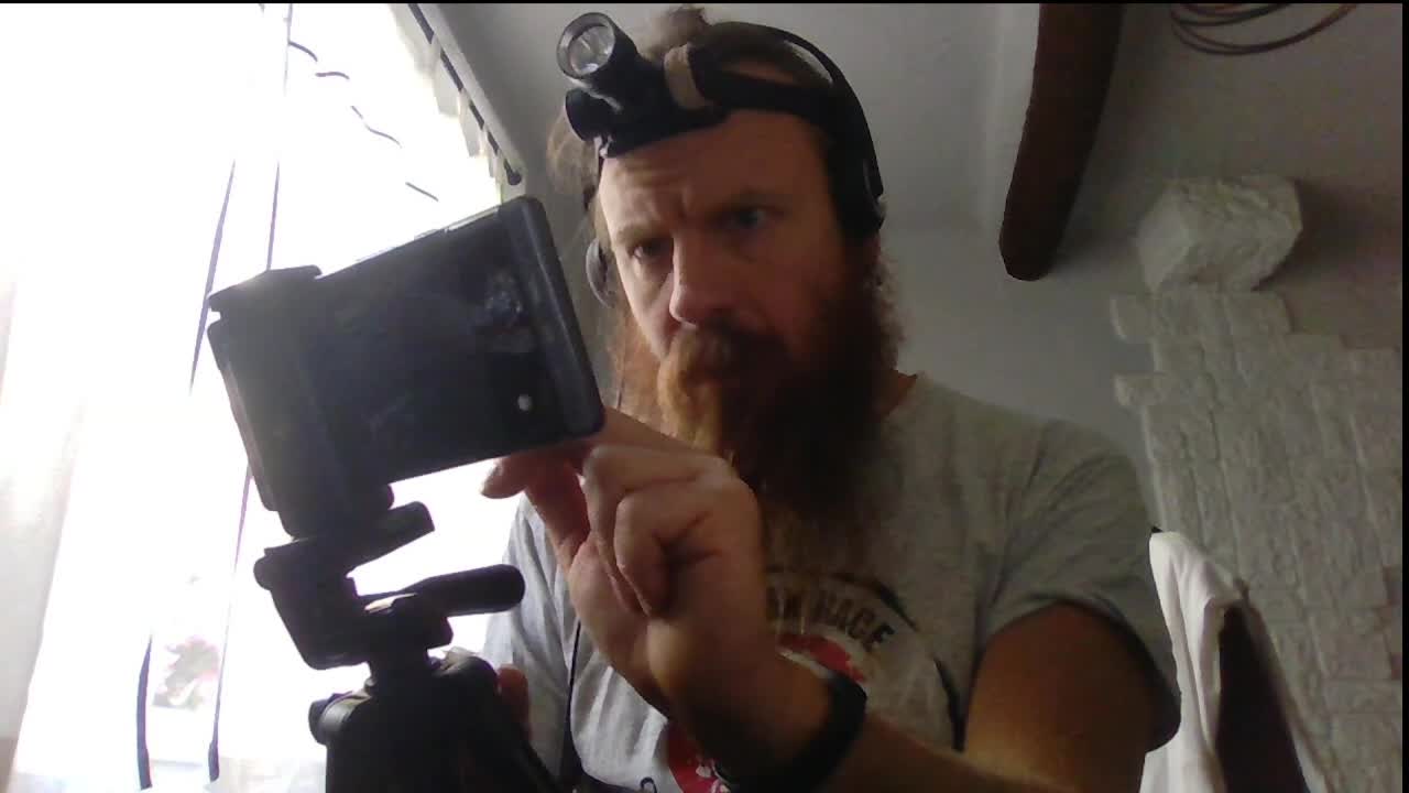2022-09-29 (4) - sdsfd - Twitch Triskelina