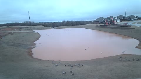 The Pond Christmas Eve Morning