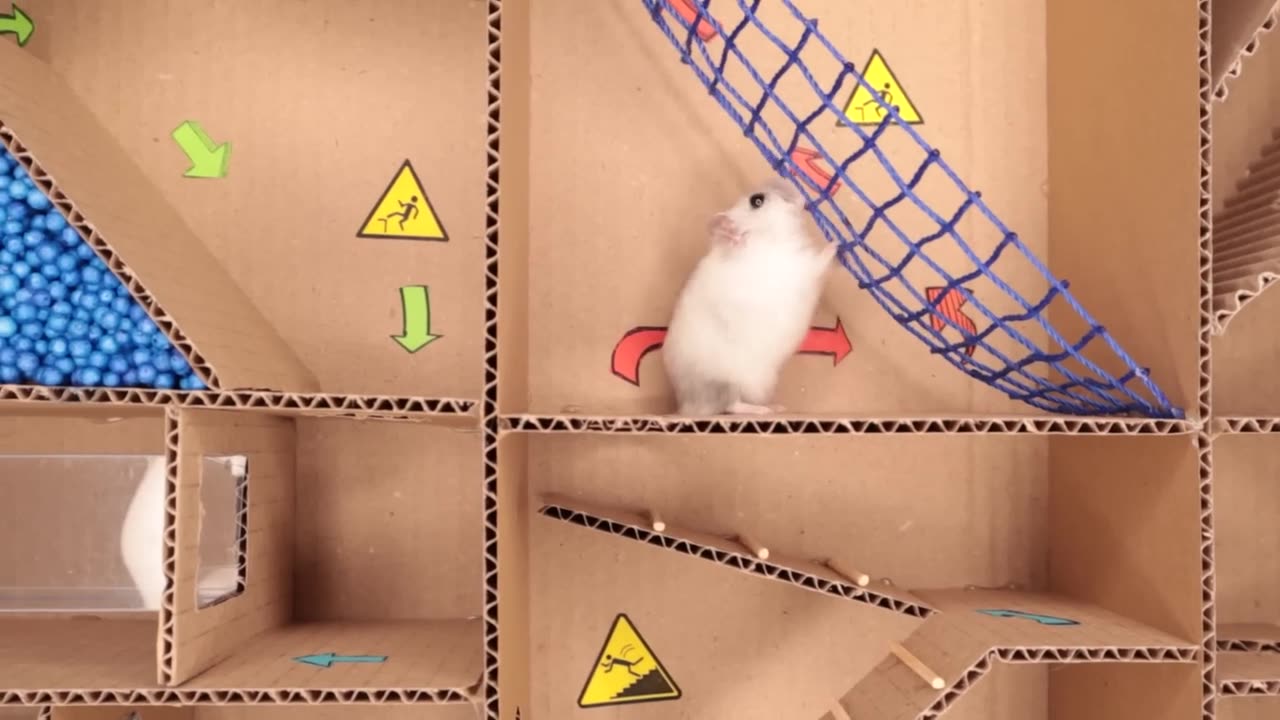 Hamster pets but with Traps in maze