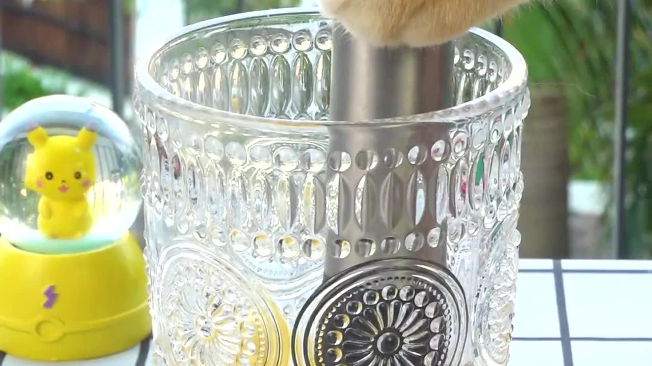 Come here with the cat to make fresh pineapple juice!🤤( ASMR )_Chef Cat Cooking#shorts#tik tok #cat