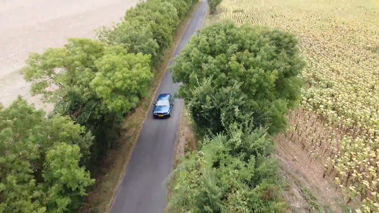 Road Stock Footage | Amazing Nature | Drone | No Copyright Videos