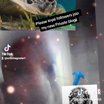 HOW DARE YOU WHERE IS MY CURRENCY?