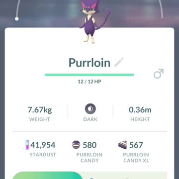 Pokemon Go Video Clip #1