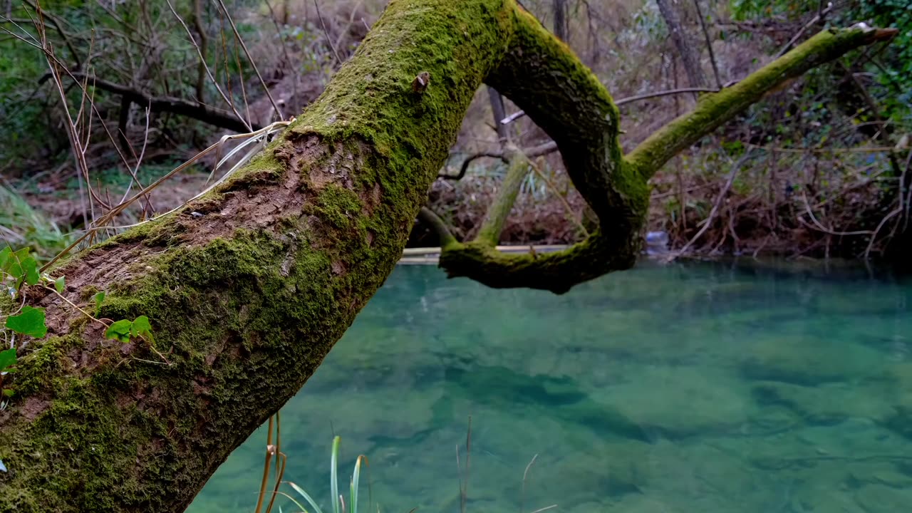 Beach Alps Forest Waterfalls Sunset Free HD Videos